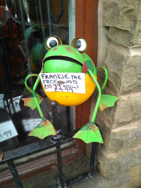 Frankie the frog